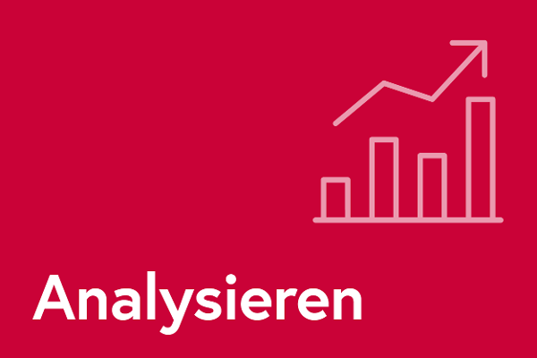 Analysieren